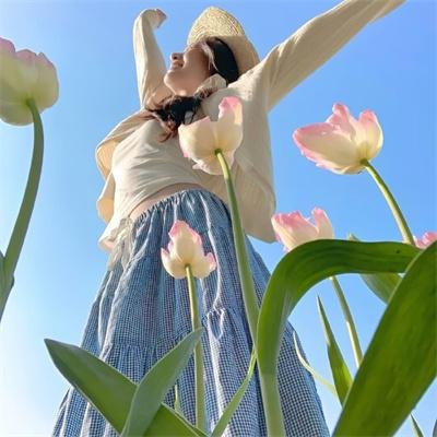 高压行动