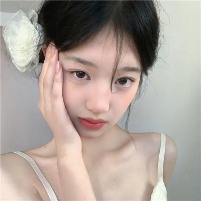 富贵吉娃娃